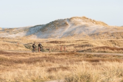 Gravel-cykelløbet Dirty Jutland 2019 blev afholdt den 12.-13. april. Mere end 500 cykelentusiaster kæmpede sig vej på forskellige distancer langs den jyske vestkyst med Skagen som endelig destination. Cykelløbet inkluderer både landevejskørsel, skov, strand, mv., og er således ligeså meget en naturoplevelse som det er et cykelløb.