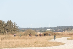 Gravel-cykelløbet Dirty Jutland 2019 blev afholdt den 12.-13. april. Mere end 500 cykelentusiaster kæmpede sig vej på forskellige distancer langs den jyske vestkyst med Skagen som endelig destination. Cykelløbet inkluderer både landevejskørsel, skov, strand, mv., og er således ligeså meget en naturoplevelse som det er et cykelløb.
