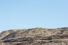 Gravel-cykelløbet Dirty Jutland 2019 blev afholdt den 12.-13. april. Mere end 500 cykelentusiaster kæmpede sig vej på forskellige distancer langs den jyske vestkyst med Skagen som endelig destination. Cykelløbet inkluderer både landevejskørsel, skov, strand, mv., og er således ligeså meget en naturoplevelse som det er et cykelløb.