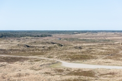 Gravel-cykelløbet Dirty Jutland 2019 blev afholdt den 12.-13. april. Mere end 500 cykelentusiaster kæmpede sig vej på forskellige distancer langs den jyske vestkyst med Skagen som endelig destination. Cykelløbet inkluderer både landevejskørsel, skov, strand, mv., og er således ligeså meget en naturoplevelse som det er et cykelløb.