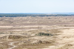 Gravel-cykelløbet Dirty Jutland 2019 blev afholdt den 12.-13. april. Mere end 500 cykelentusiaster kæmpede sig vej på forskellige distancer langs den jyske vestkyst med Skagen som endelig destination. Cykelløbet inkluderer både landevejskørsel, skov, strand, mv., og er således ligeså meget en naturoplevelse som det er et cykelløb.