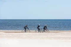 Gravel-cykelløbet Dirty Jutland 2019 blev afholdt den 12.-13. april. Mere end 500 cykelentusiaster kæmpede sig vej på forskellige distancer langs den jyske vestkyst med Skagen som endelig destination. Cykelløbet inkluderer både landevejskørsel, skov, strand, mv., og er således ligeså meget en naturoplevelse som det er et cykelløb.