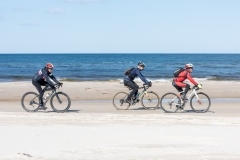 Gravel-cykelløbet Dirty Jutland 2019 blev afholdt den 12.-13. april. Mere end 500 cykelentusiaster kæmpede sig vej på forskellige distancer langs den jyske vestkyst med Skagen som endelig destination. Cykelløbet inkluderer både landevejskørsel, skov, strand, mv., og er således ligeså meget en naturoplevelse som det er et cykelløb.