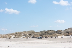 Gravel-cykelløbet Dirty Jutland 2019 blev afholdt den 12.-13. april. Mere end 500 cykelentusiaster kæmpede sig vej på forskellige distancer langs den jyske vestkyst med Skagen som endelig destination. Cykelløbet inkluderer både landevejskørsel, skov, strand, mv., og er således ligeså meget en naturoplevelse som det er et cykelløb.