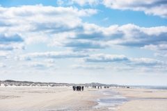 Gravel-cykelløbet Dirty Jutland 2019 blev afholdt den 12.-13. april. Mere end 500 cykelentusiaster kæmpede sig vej på forskellige distancer langs den jyske vestkyst med Skagen som endelig destination. Cykelløbet inkluderer både landevejskørsel, skov, strand, mv., og er således ligeså meget en naturoplevelse som det er et cykelløb.