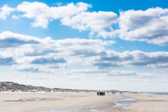 Gravel-cykelløbet Dirty Jutland 2019 blev afholdt den 12.-13. april. Mere end 500 cykelentusiaster kæmpede sig vej på forskellige distancer langs den jyske vestkyst med Skagen som endelig destination. Cykelløbet inkluderer både landevejskørsel, skov, strand, mv., og er således ligeså meget en naturoplevelse som det er et cykelløb.