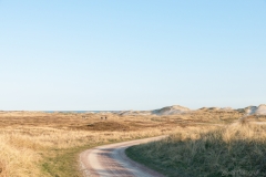 Gravel-cykelløbet Dirty Jutland 2019 blev afholdt den 12.-13. april. Mere end 500 cykelentusiaster kæmpede sig vej på forskellige distancer langs den jyske vestkyst med Skagen som endelig destination. Cykelløbet inkluderer både landevejskørsel, skov, strand, mv., og er således ligeså meget en naturoplevelse som det er et cykelløb.