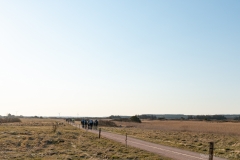 Gravel-cykelløbet Dirty Jutland 2019 blev afholdt den 12.-13. april. Mere end 500 cykelentusiaster kæmpede sig vej på forskellige distancer langs den jyske vestkyst med Skagen som endelig destination. Cykelløbet inkluderer både landevejskørsel, skov, strand, mv., og er således ligeså meget en naturoplevelse som det er et cykelløb.