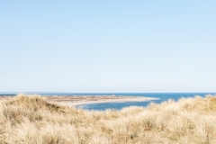 Gravel-cykelløbet Dirty Jutland 2019 blev afholdt den 12.-13. april. Mere end 500 cykelentusiaster kæmpede sig vej på forskellige distancer langs den jyske vestkyst med Skagen som endelig destination. Cykelløbet inkluderer både landevejskørsel, skov, strand, mv., og er således ligeså meget en naturoplevelse som det er et cykelløb.