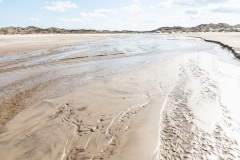 Gravel-cykelløbet Dirty Jutland 2019 blev afholdt den 12.-13. april. Mere end 500 cykelentusiaster kæmpede sig vej på forskellige distancer langs den jyske vestkyst med Skagen som endelig destination. Cykelløbet inkluderer både landevejskørsel, skov, strand, mv., og er således ligeså meget en naturoplevelse som det er et cykelløb.