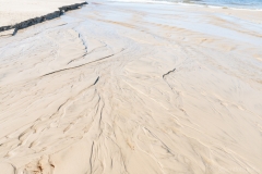 Gravel-cykelløbet Dirty Jutland 2019 blev afholdt den 12.-13. april. Mere end 500 cykelentusiaster kæmpede sig vej på forskellige distancer langs den jyske vestkyst med Skagen som endelig destination. Cykelløbet inkluderer både landevejskørsel, skov, strand, mv., og er således ligeså meget en naturoplevelse som det er et cykelløb.