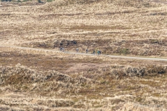 90-eventfotografi_DSC5410