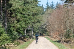 18-eventfotografi_DSC5453